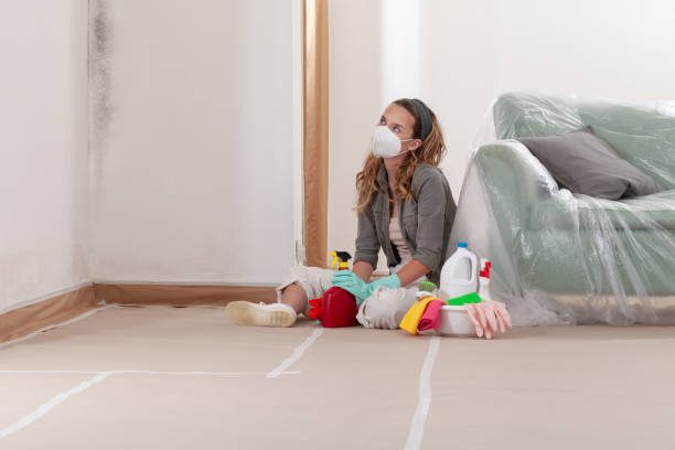 Reliable Mold Remediation contractor in Bloomington, TX by WQB Mold Removal